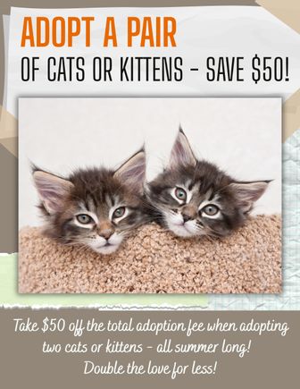 Save  50 adopt a pair