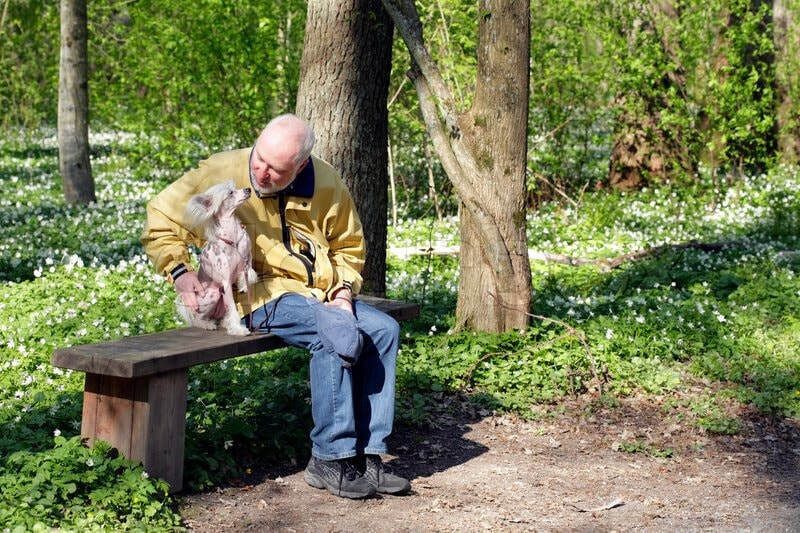 Mandogparkbench orig