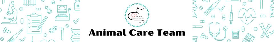 Copy of colors google classroom header