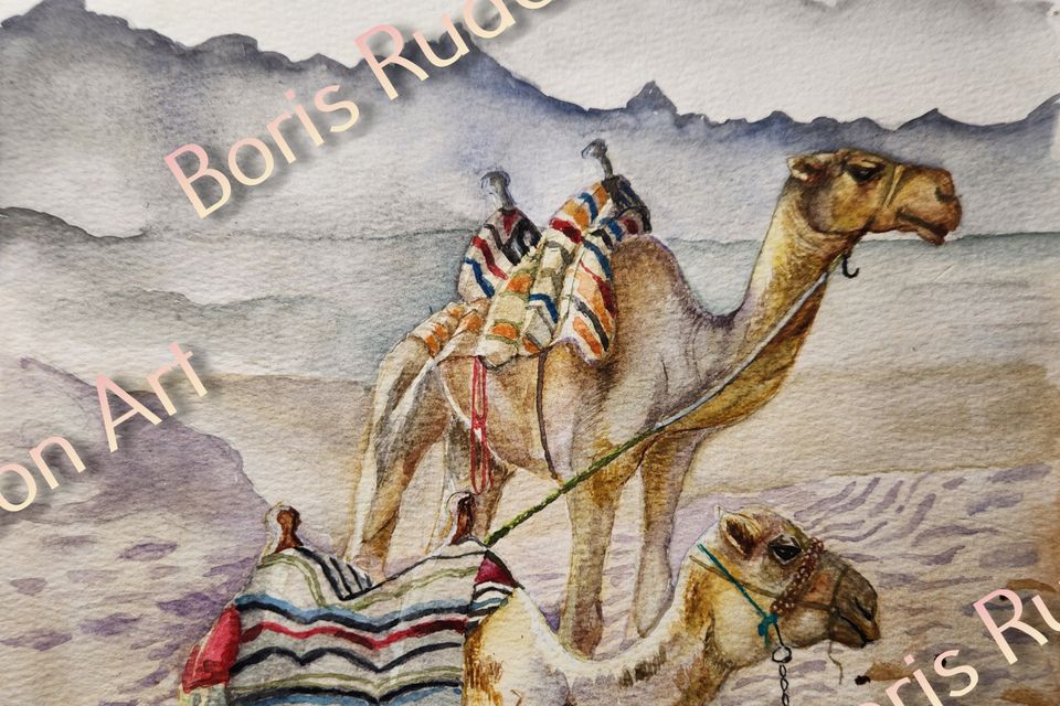 Watercolor. Camels
