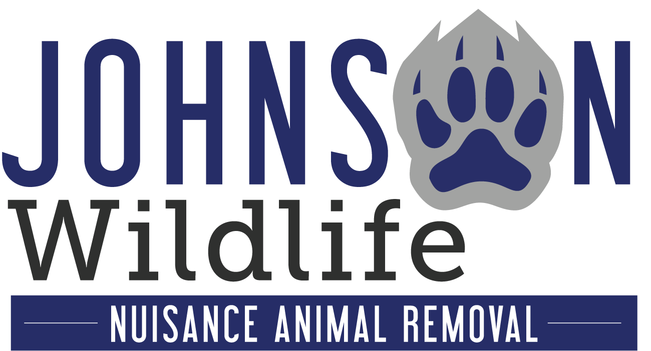 Johnson Wildlife