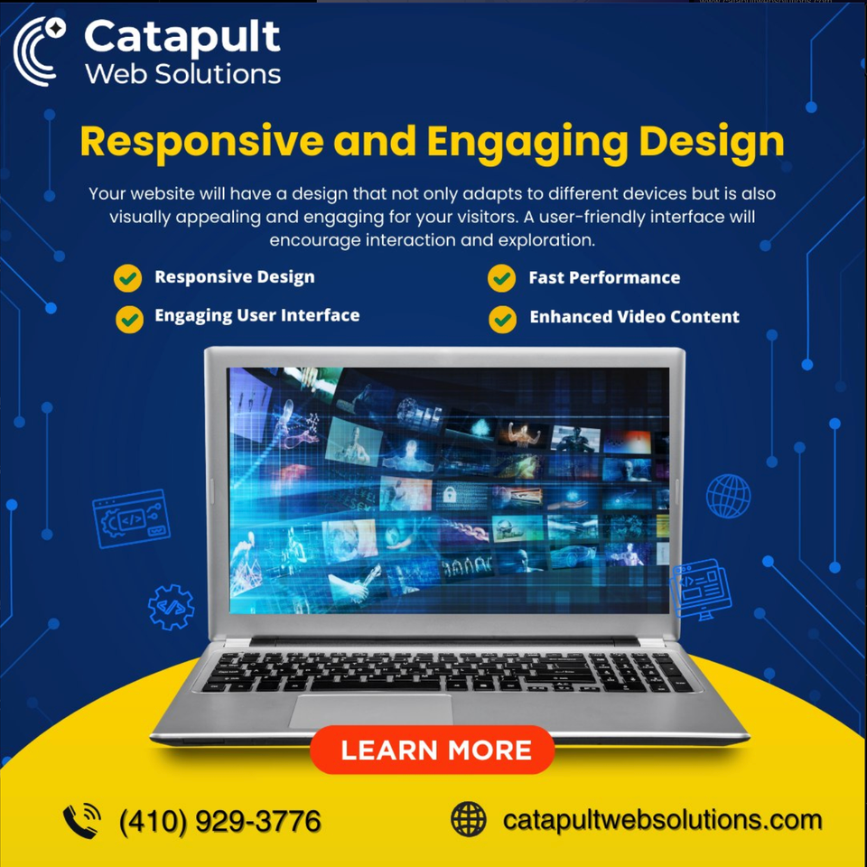 Catapult web solutions approved logo usage example 2