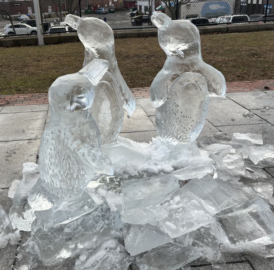 Maynard winter celebration!