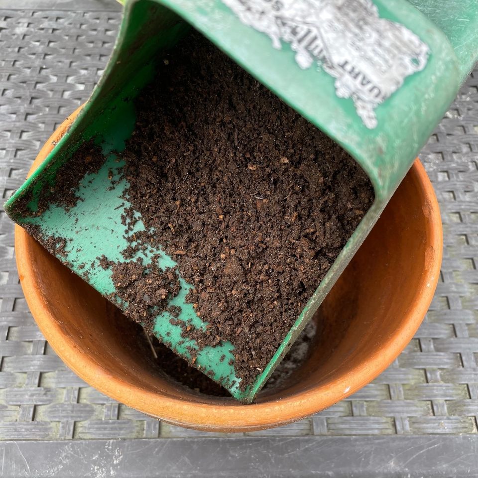 Worm castings2