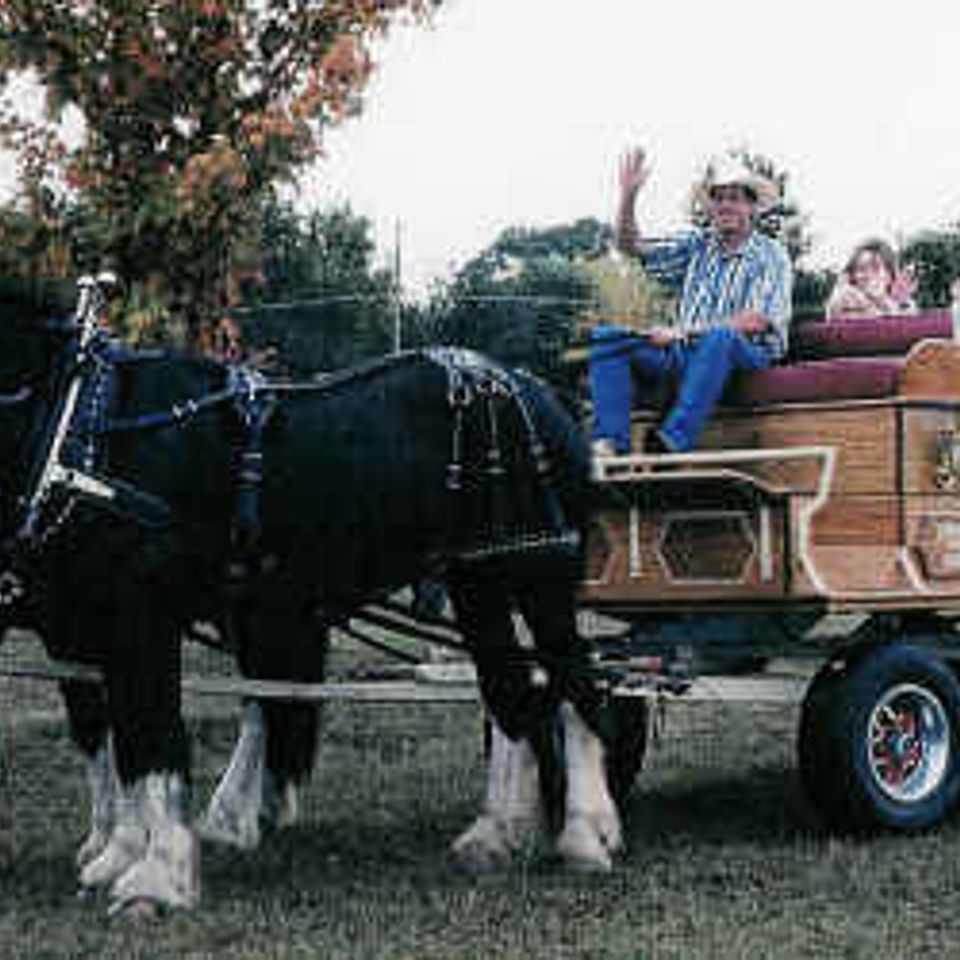 Wagon