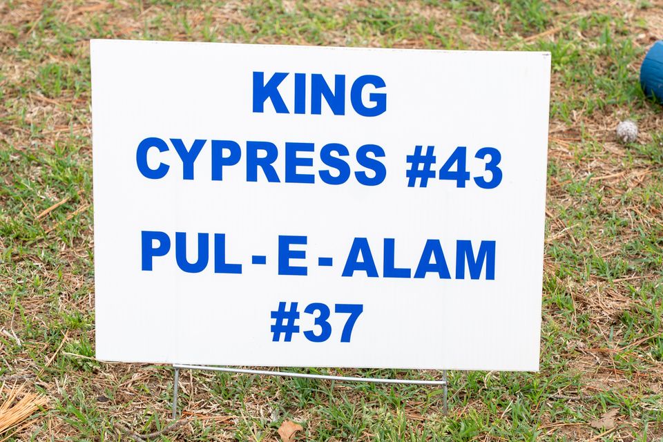 Dsc03529 enhanced nr