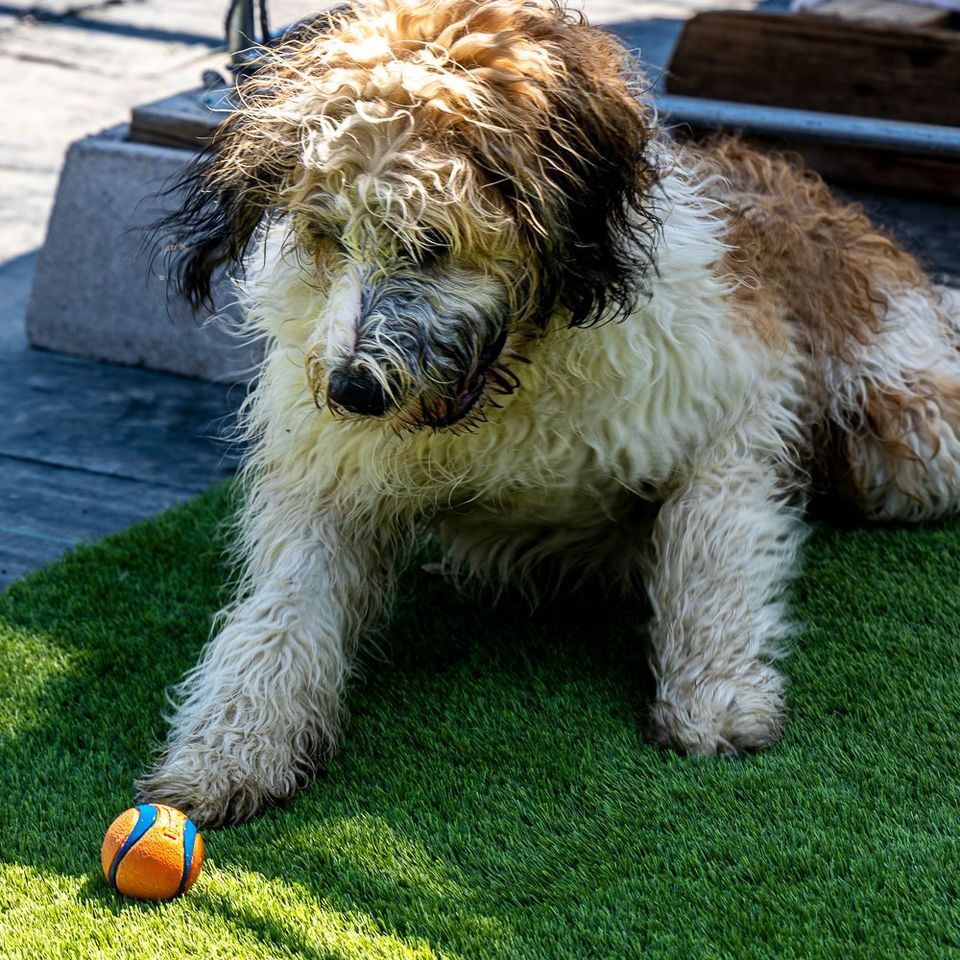 471196957 1018578980323700 3850036187094105404 n