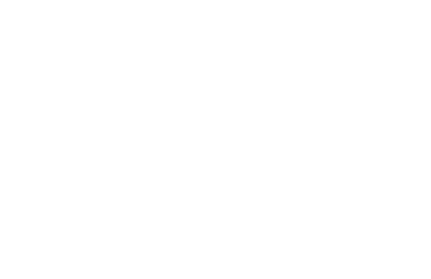Big Green Umbrella Media – Political Advertising