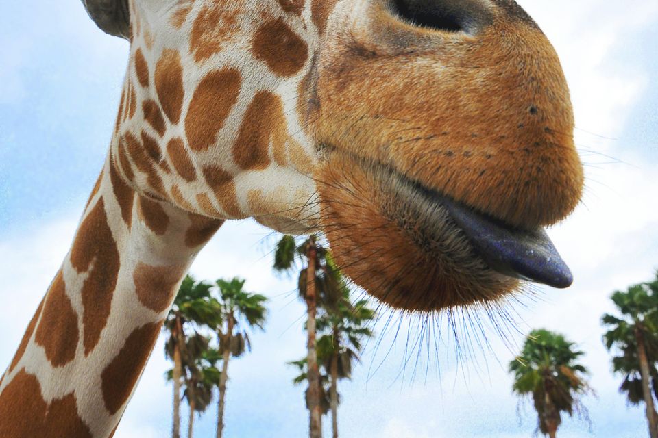 Gary meulemans bkssnj3h6bc unsplash