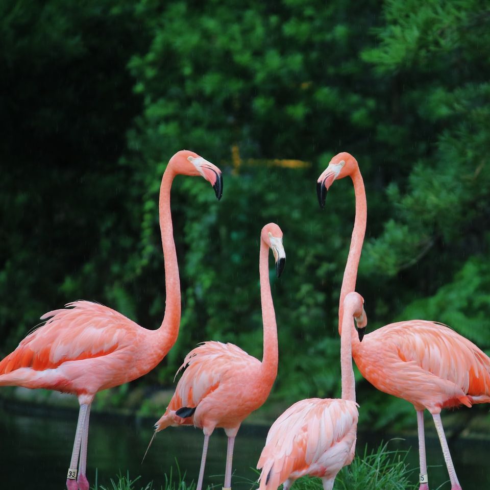 Sharisse bullock 2domhae9vlm unsplash