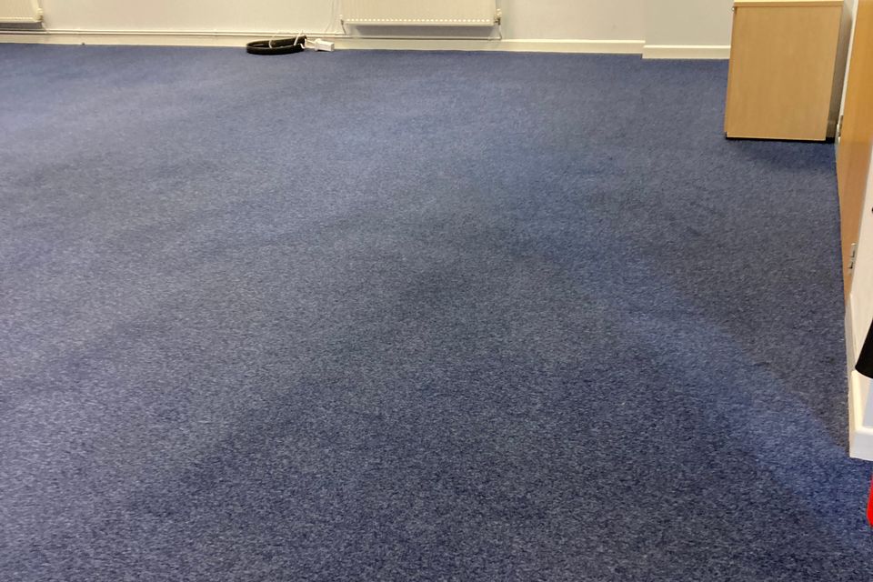 Carpet cleaning in progress