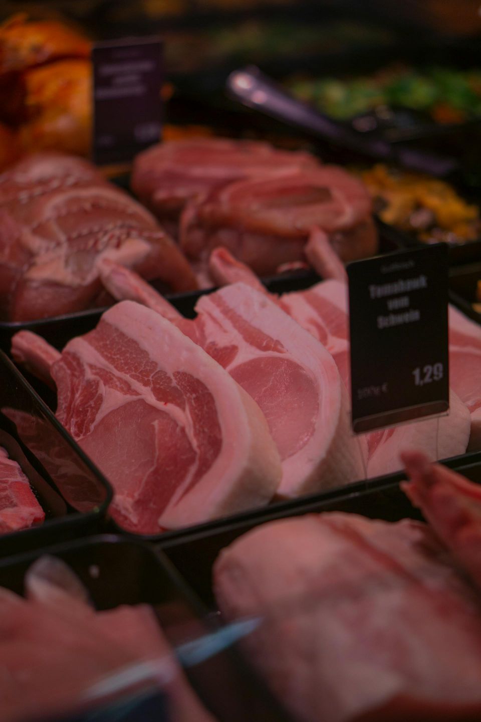 Pexels rickie tom schunemann 67502904 10647859