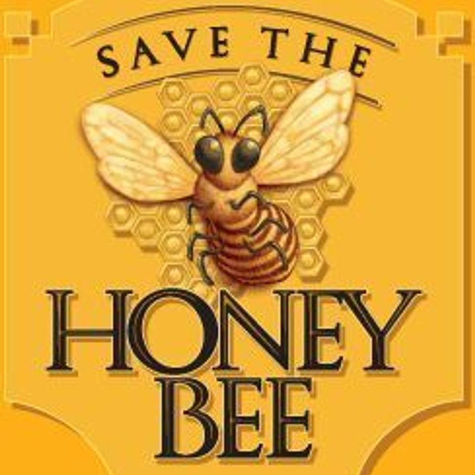 Save the honey bee