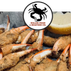 Killer crab deli menu