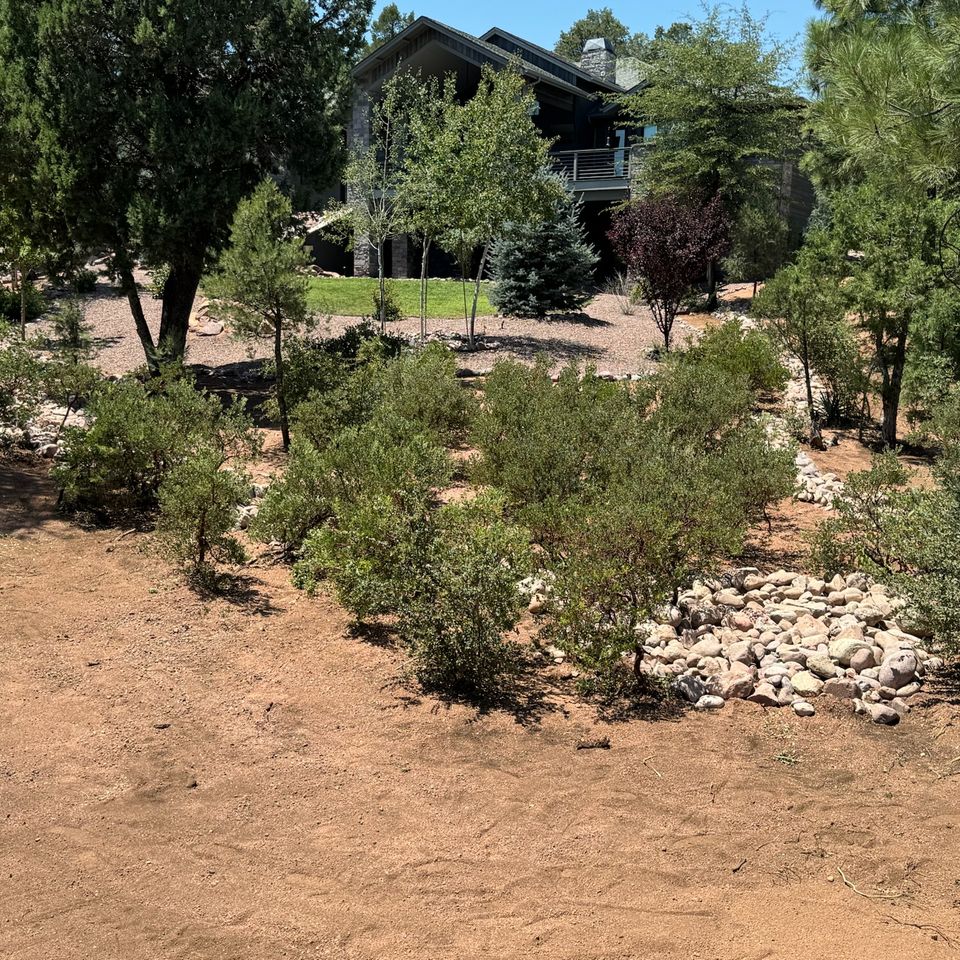 Img 1378
