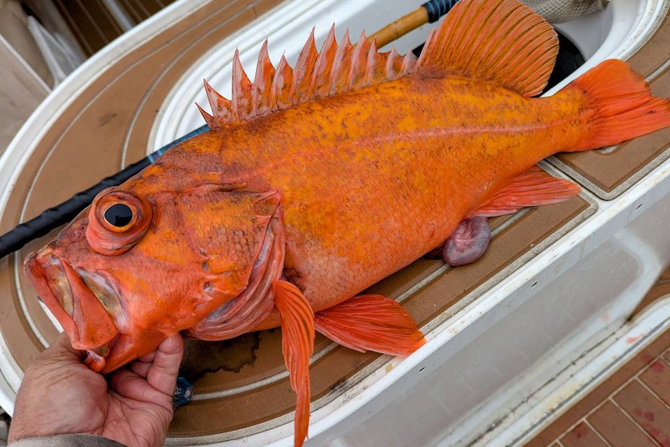 Pxl 20250601 001112295 2