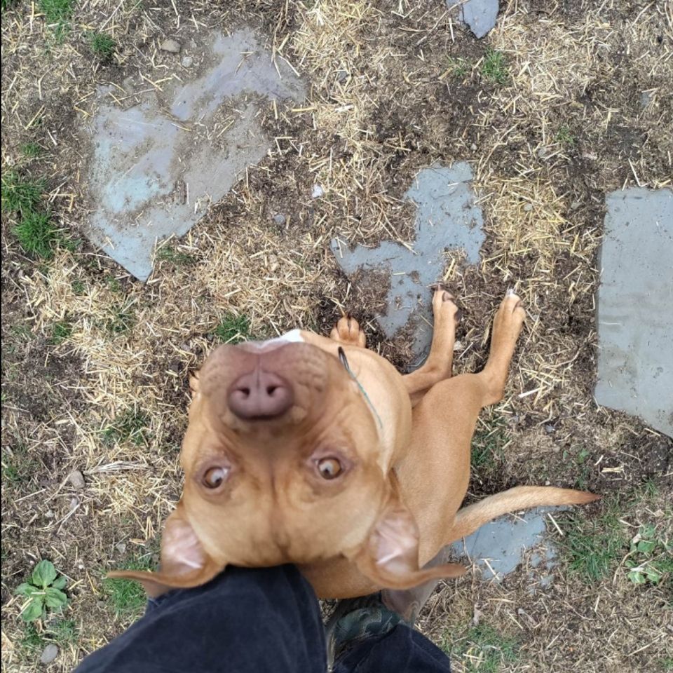 Screenshot 20230630 0248562