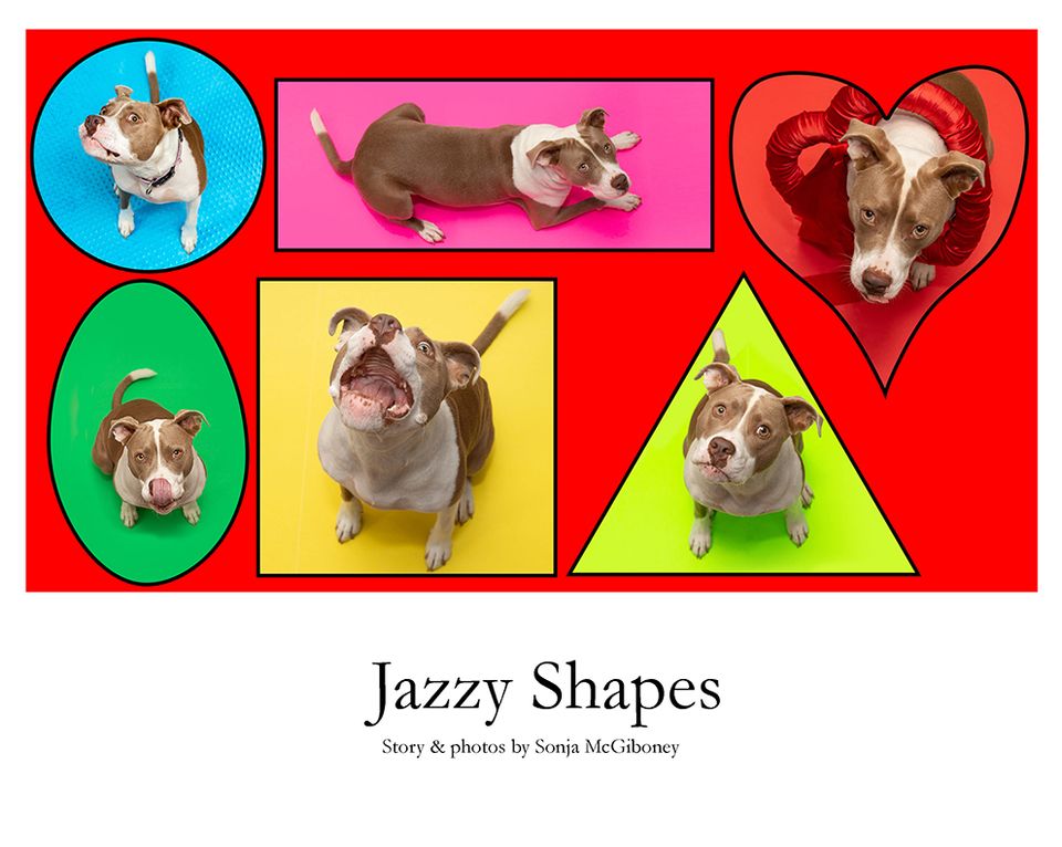 Jazzy shapes cover 