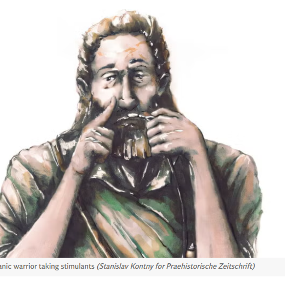 Germanic warrior stimulants independent article