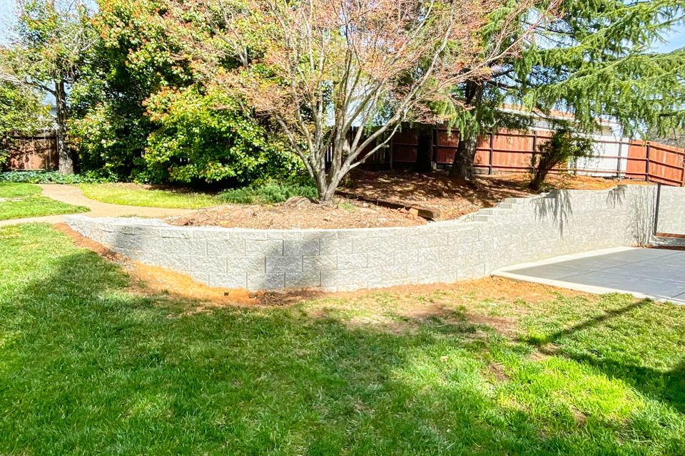 489564850 1268655054837138 4633838408110377088 n