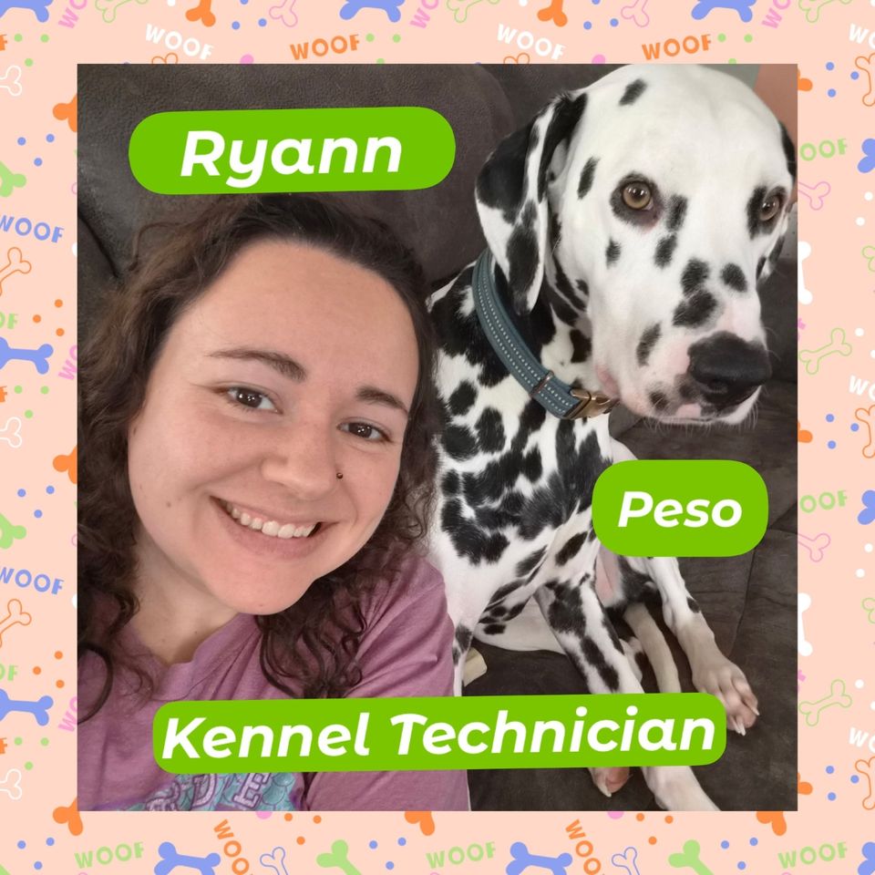 Ryann11