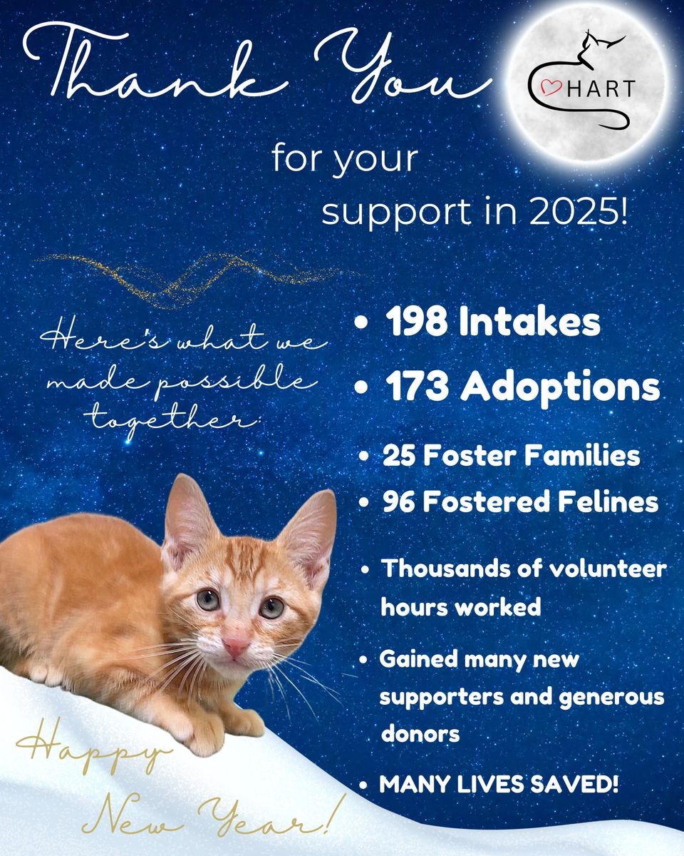 New year thanks for support year end summary