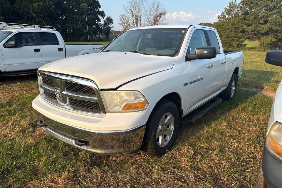 Lot 6 leoma