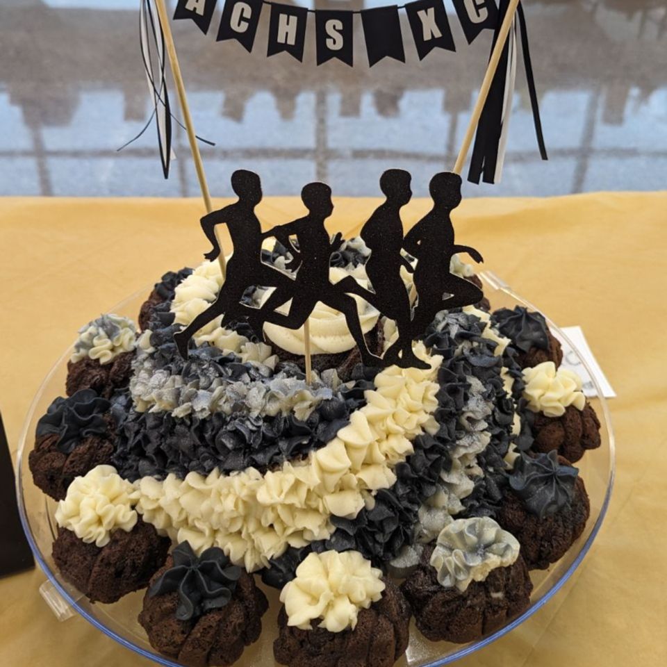 Large cake2
