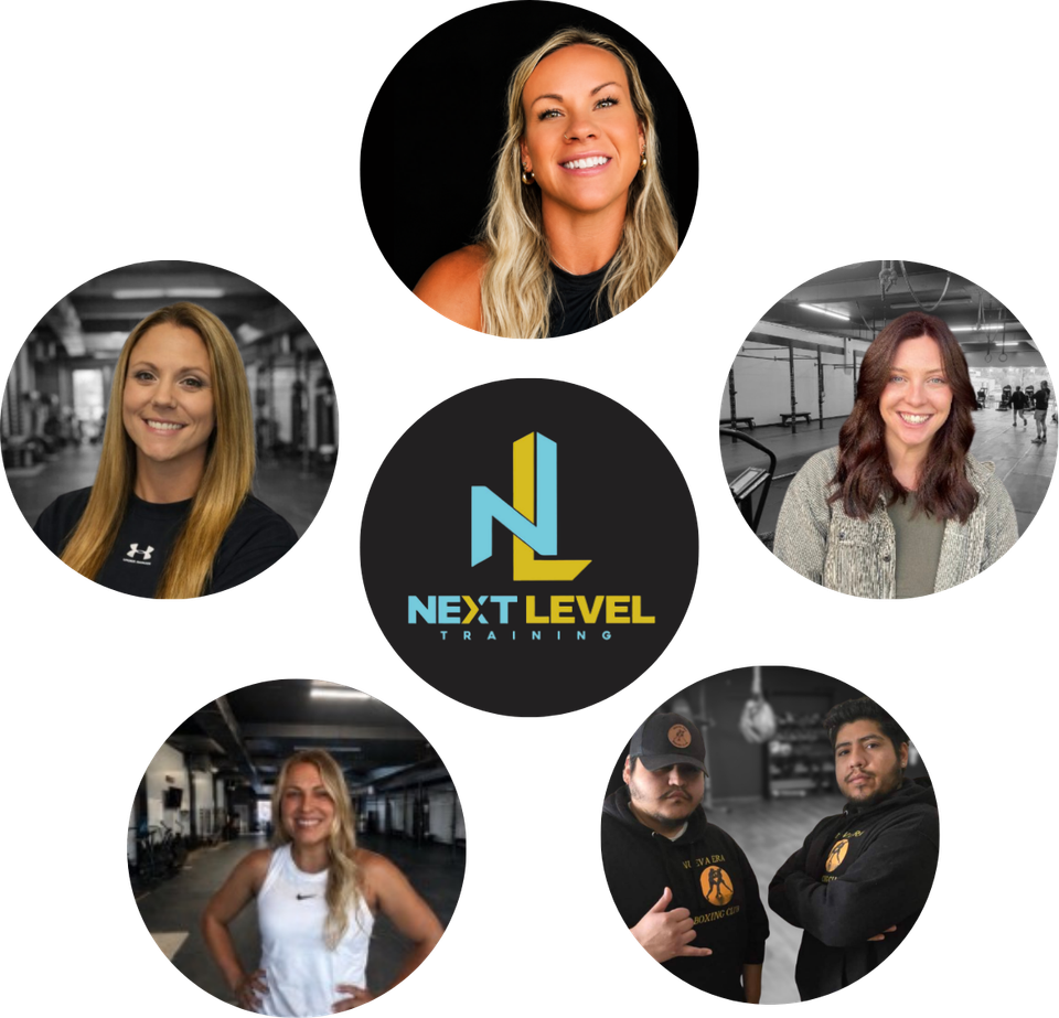 Next level training website (10)