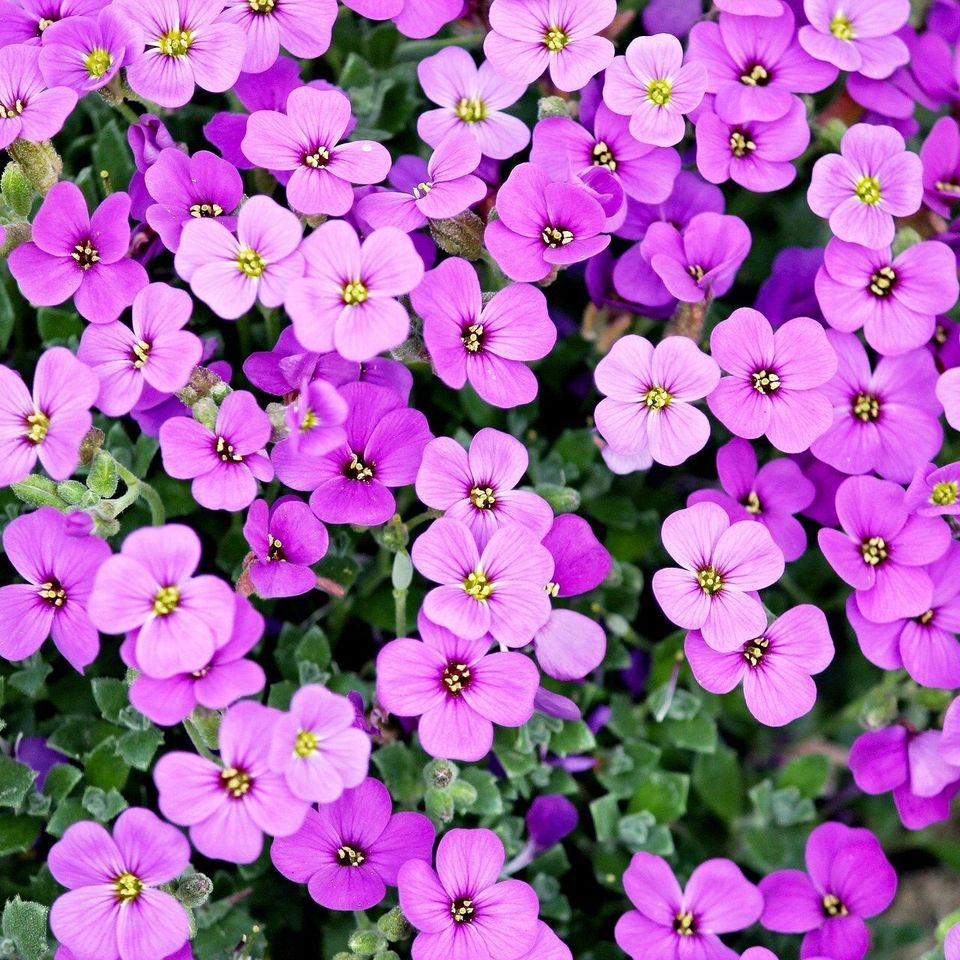 Blue pillow 54e2d44a4f 1920