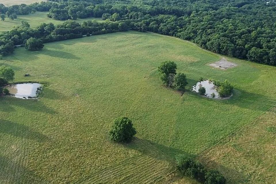 D2d83aafc34566b0fe176393096b194d cc ft 768