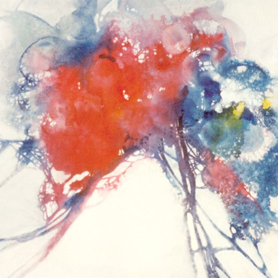 Red   blue fantasy