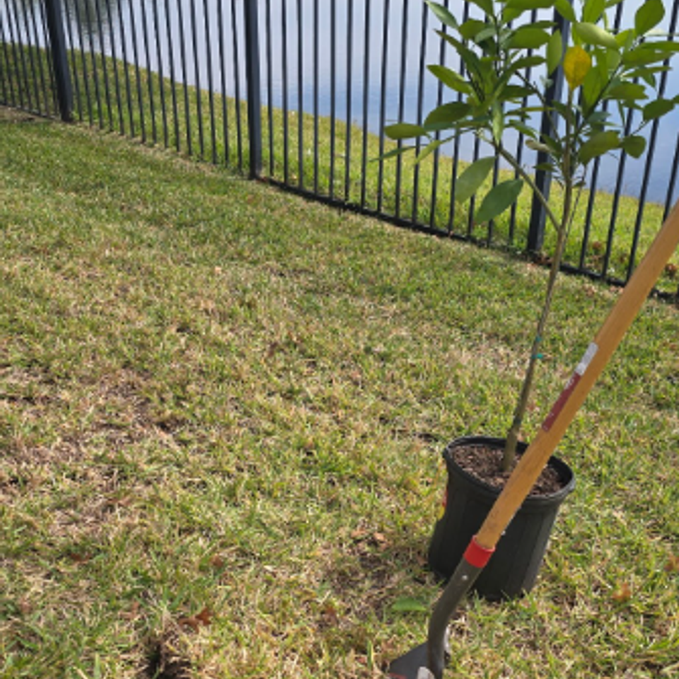 Screenshot 2025 11 21 152539