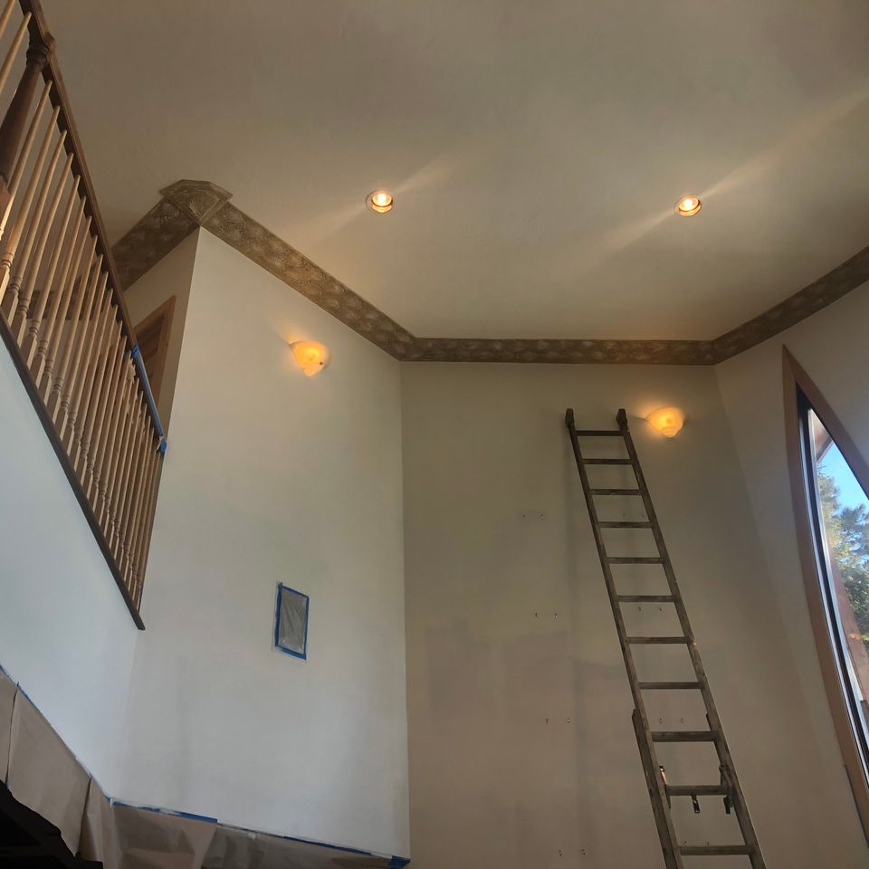 Img 7657