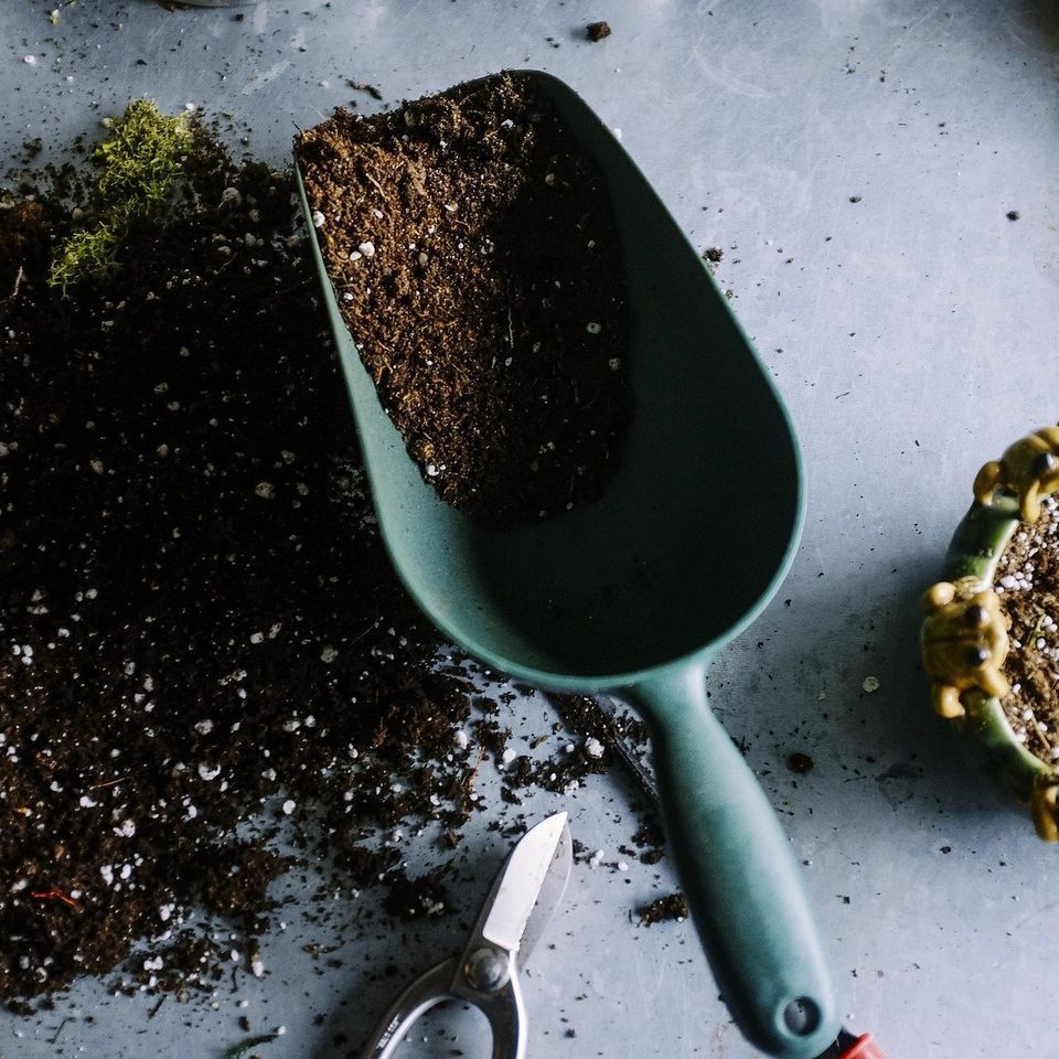 Gardening 50e9d54a4e 1920