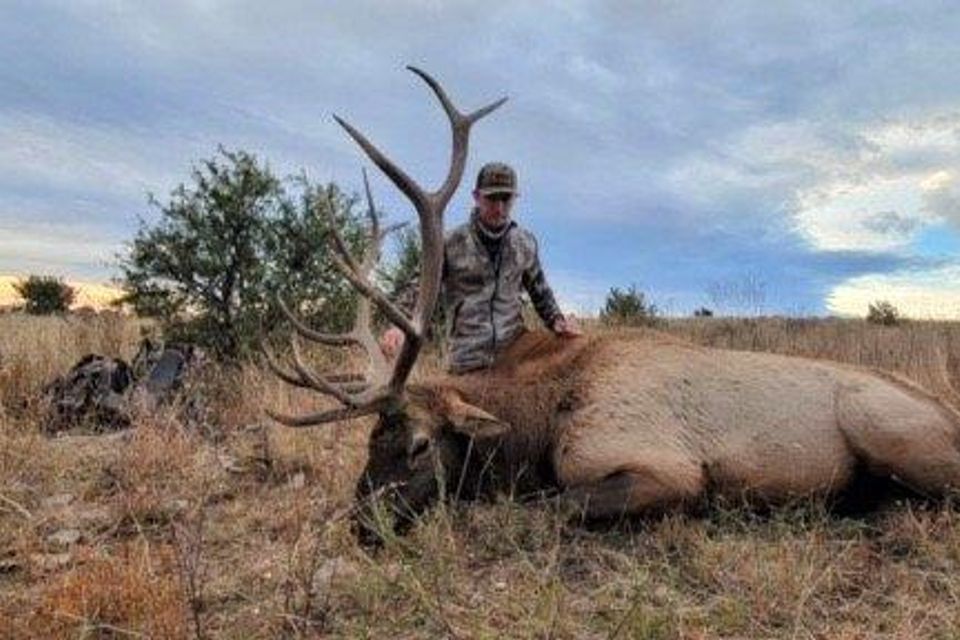 Will and his first elk with a muzzleloader 2021
