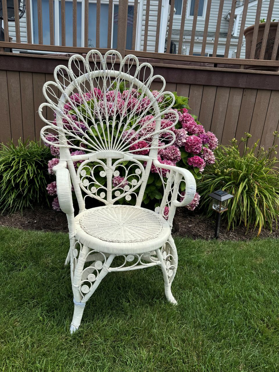 Chair fancy