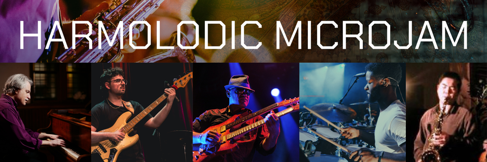Harmolodic microjam musicians (1)