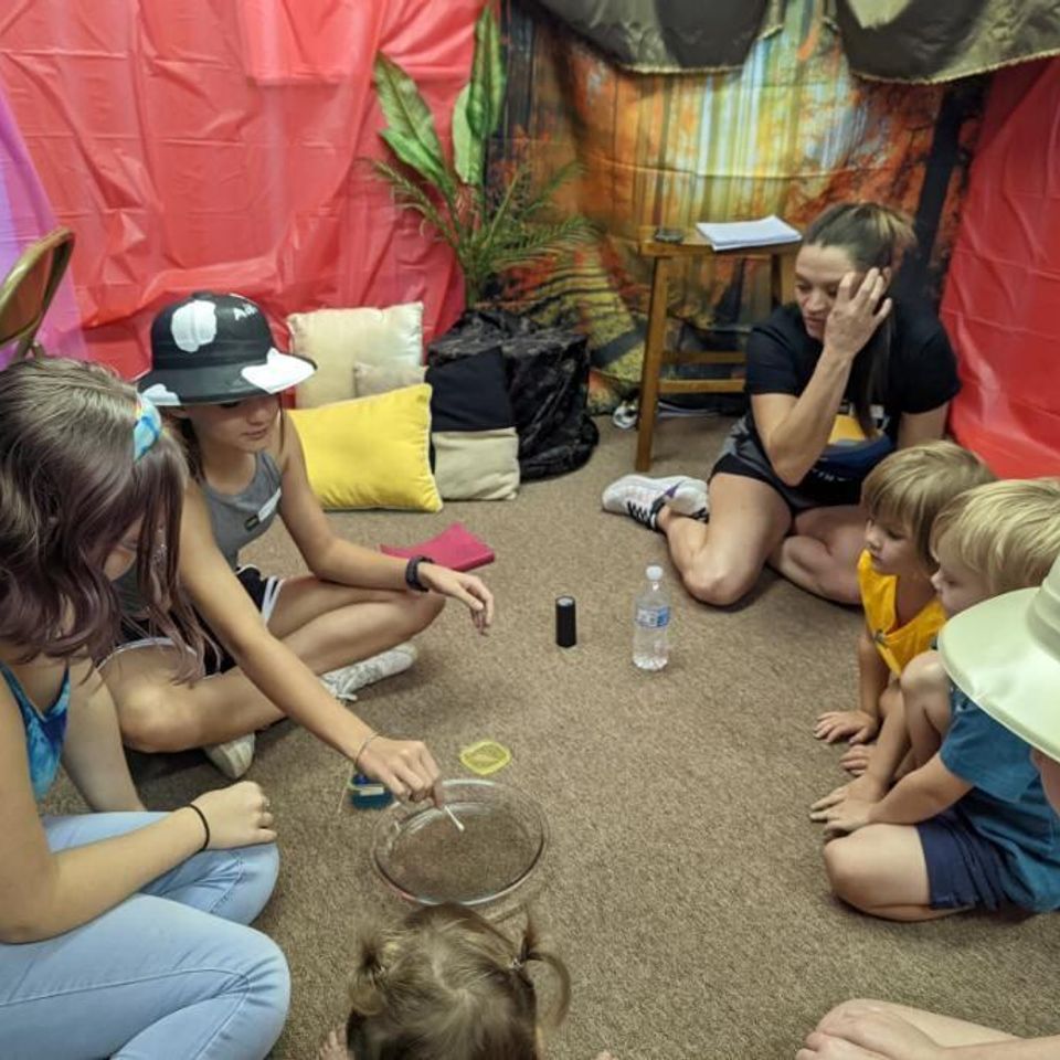 Vbs8