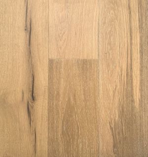 Aurora collection northern wind scaled