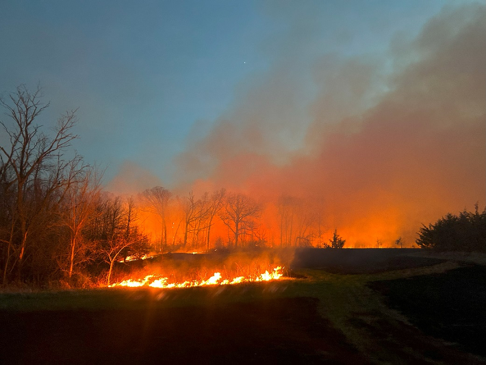 Controlled burning forestry