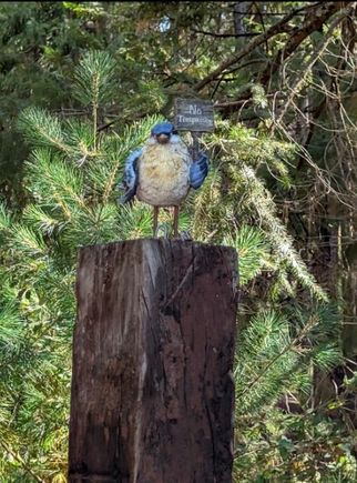 Screenshot 2026 02 18 130852