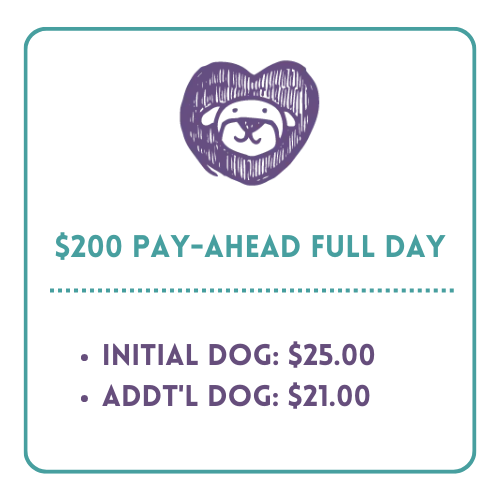 Doodle dog 200 full day price box (1)
