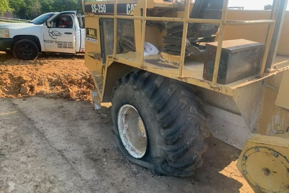 Img 0835