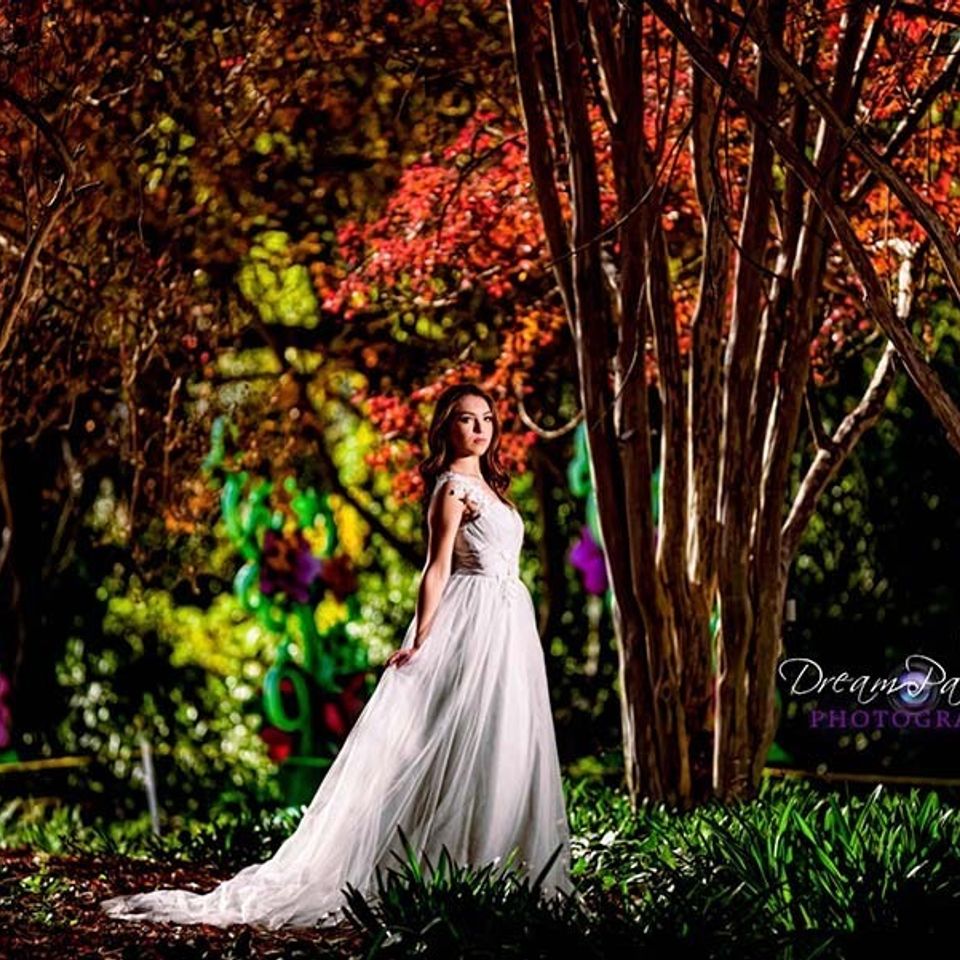 Princess in the forest 1