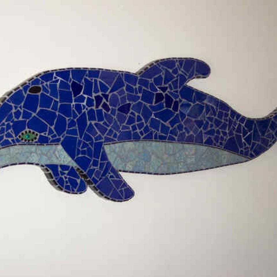 Dolphin2