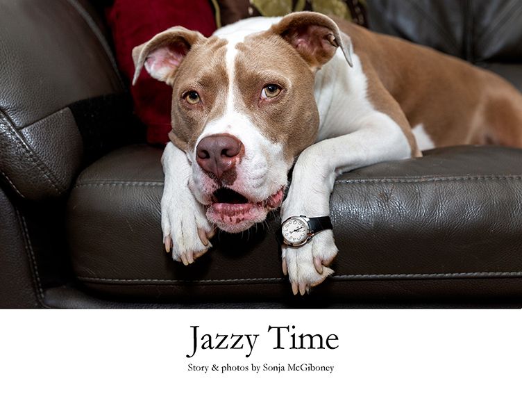 Jazzy time cover