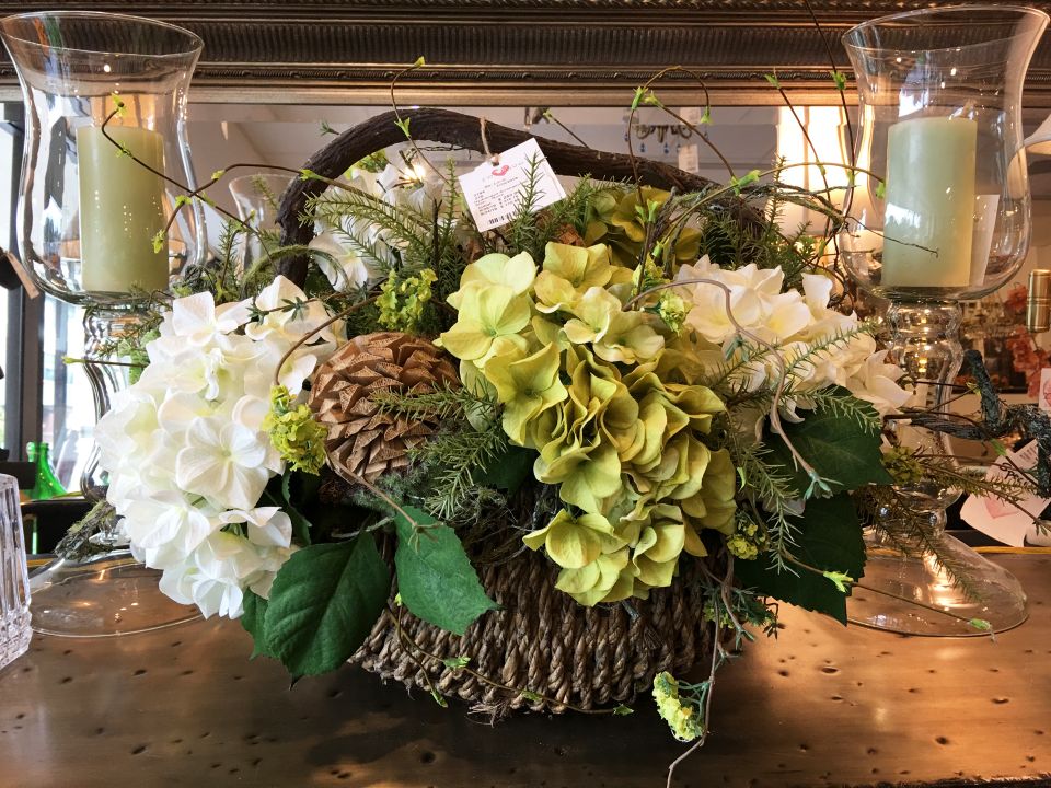Hydrangea wb