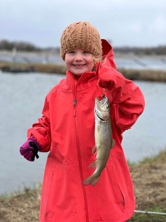 Catch a trout wkd1 2023 (14)