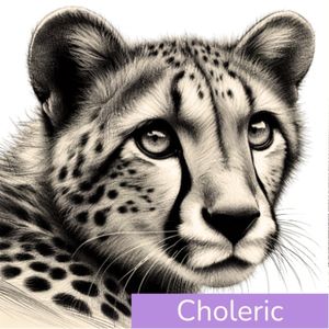 Chrissie dixon   pep four tempermants  (2)